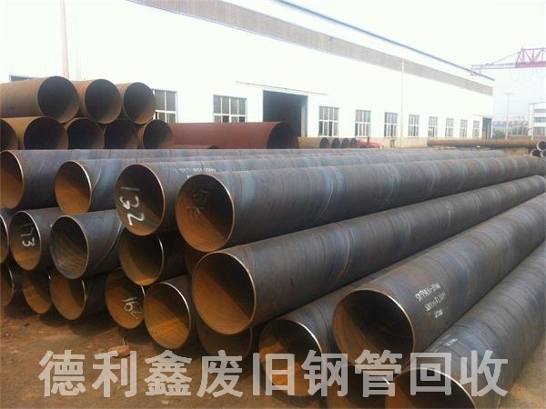 �߃r�����ܻ��� �o�p�ܻ��� ���T����